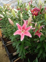 [4362 Mumbai DJ No01.JPG]